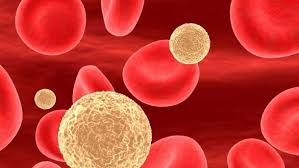 Що таке холестерин та як його контролювати